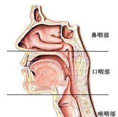 慢性咽喉炎