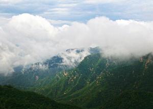 凌霄山风景图