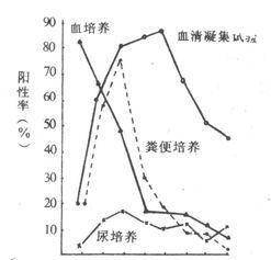 伤寒患者不同病期标本的阳性检出率