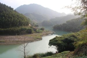 鱼池风光