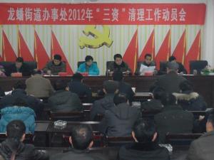 龙蟠办事处