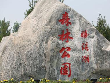孝义市胜溪湖森林公园
