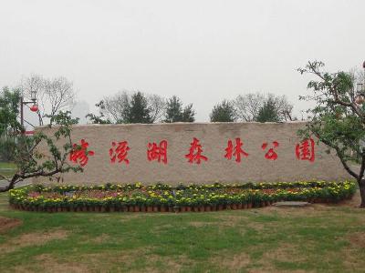 孝义市胜溪湖森林公园
