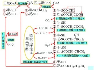 代谢