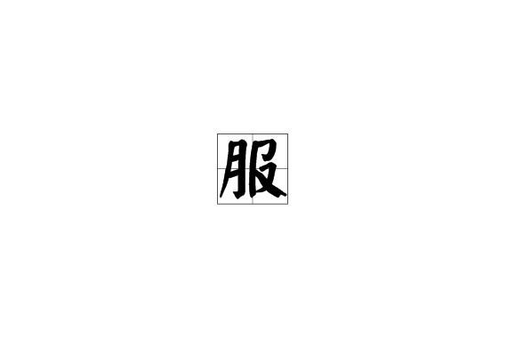服(汉语汉字)