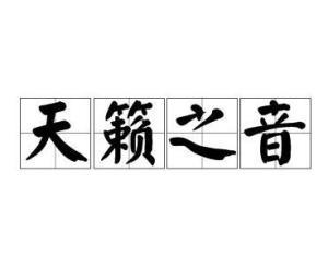 听说天籁之音是世界上最动听的声音谁知道天籁之音的音乐给你介绍几首