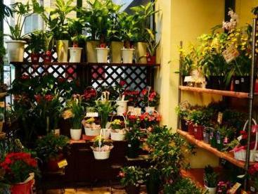 花店 经商 搜狗百科