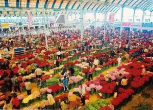 斗南花卉市场 搜狗百科