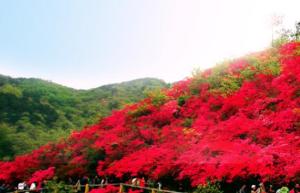 景区美景