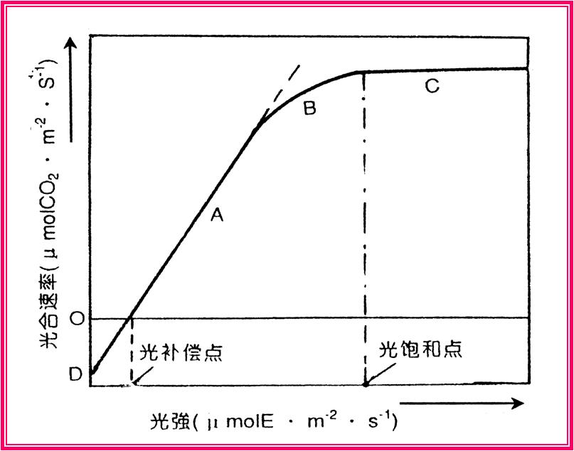 光饱和点图图片