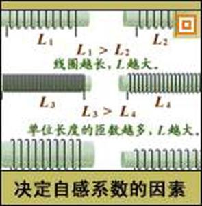 决定因素