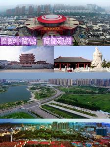 药都亳州