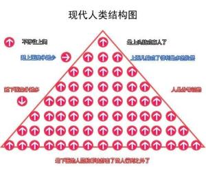 现代社会人类结构图