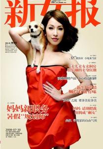 新女报 封面