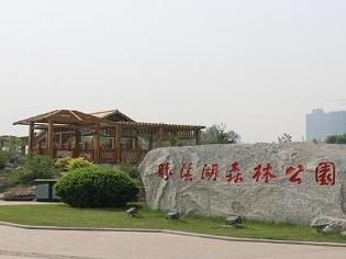 孝义市胜溪湖森林公园