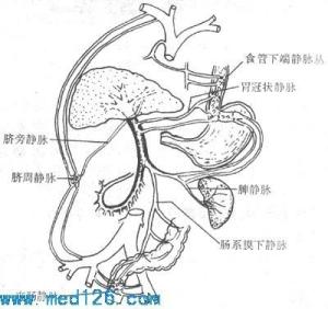 肝昏迷