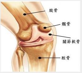 髌股关节软骨损伤