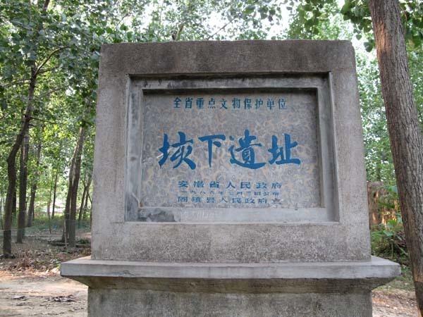 安徽固镇垓下大汶口文化城址