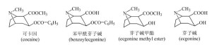 可卡因及代谢产物结构式