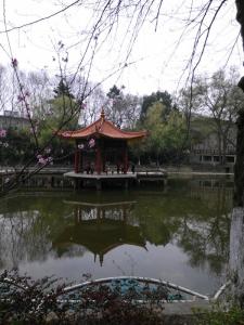 校园分解