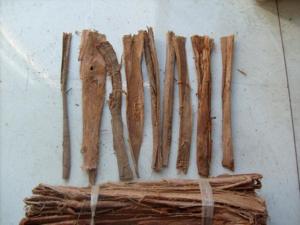 榆树皮药材成品