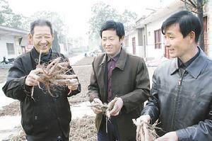 沼气池