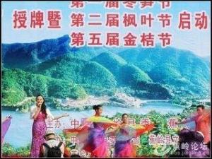 图1 龙门广场举办的中国长寿之乡