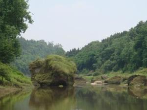 太和风光