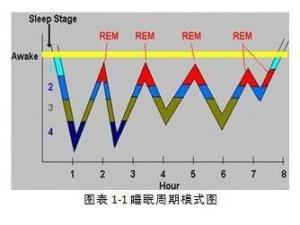 睡眠周期