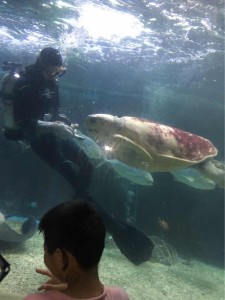 海洋世界