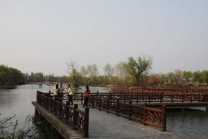 茱萸湾公园