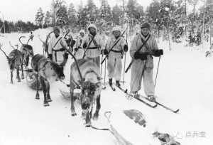 芬兰军队的雪橇步兵正在行军