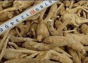 天北镇特产