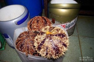 芽庄美食 芽庄美食