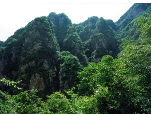 九山顶自然风景区