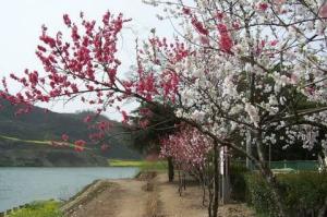 雄村