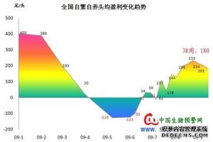 成本分析报告