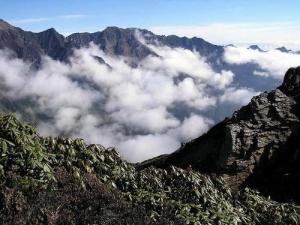 九山顶景观