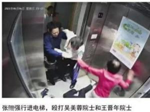 张陶打人事件