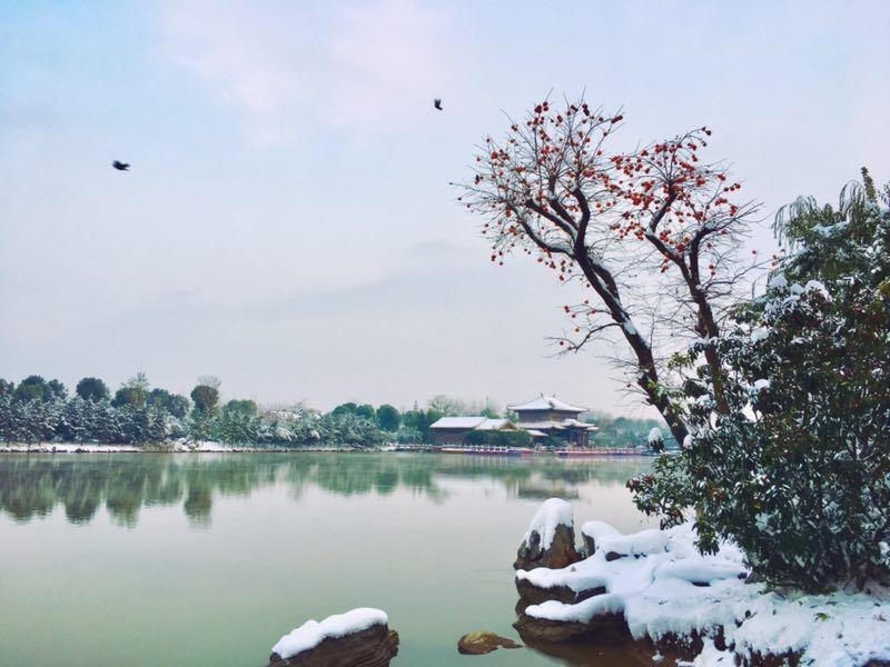 滨河雪景
