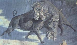 恐颌猪