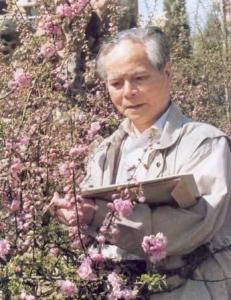 关山月