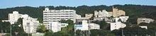 静冈大学