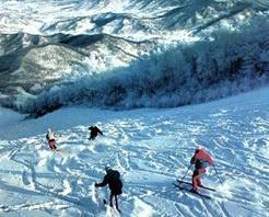 朱雀山滑雪场