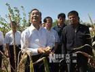 玛尼罕乡