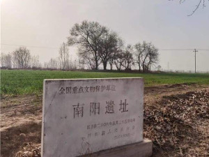 南阳遗址
