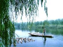 鹊山湖(图3)