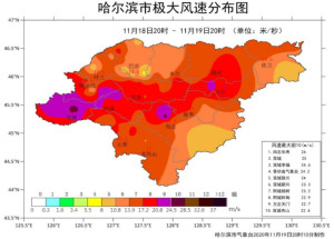 双城区