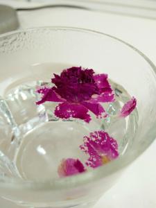 平阴玫瑰花茶