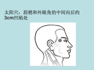太阳穴